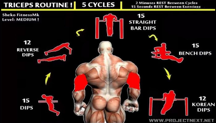 Triceps Routine - Cycles Workout Plan Health Fitness Training 