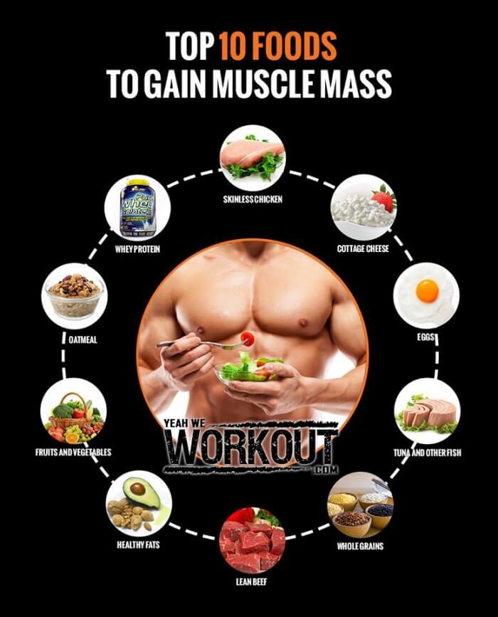 Top 10 Foods To Gain Muscle Mass - Healthy Fitness Recipe Tips