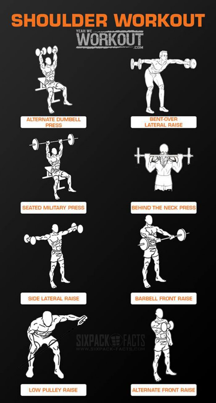 Shoulder Workout Training - Healthy Fitness Routine Arms Back Ab