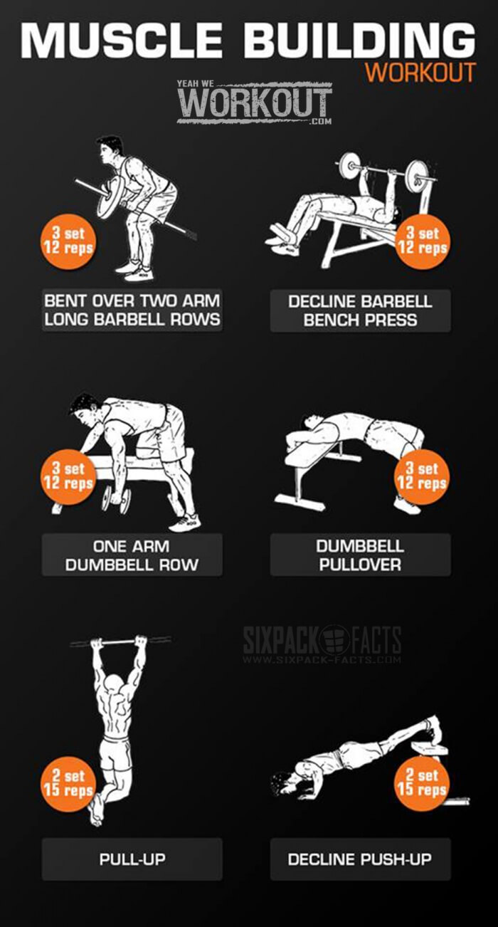Muscle Building Workout - Back Chest Back Arms Full Body Routine