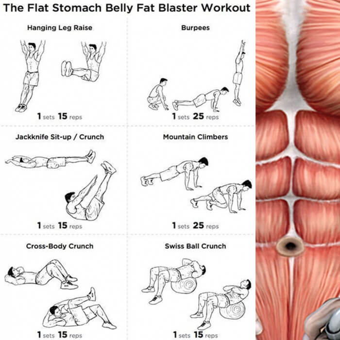 The Flat Stomach Belly Fat Blaster Workout Plan - Health Fitness