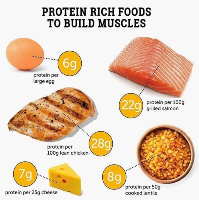 Protein Rich Foods To Build Muscles - Healthy Fitness Eating Abs