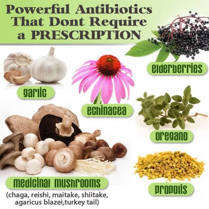 Powerful Antibiotics That Dont Require A Prescription - Healthy!