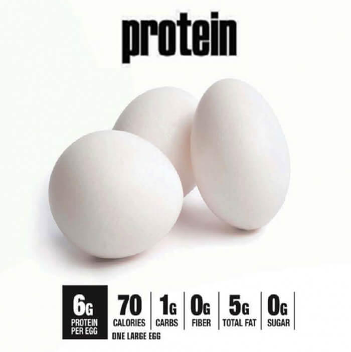 Egg Protein - Healthy Fitness Tips Tricks Calories Carbs Fiber