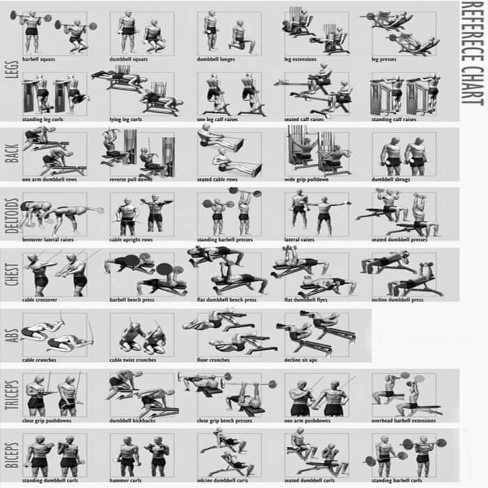 Full Body Workout Chart - Fitness Training Health Chest Arms Abs