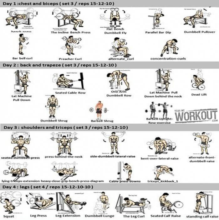 Full Body Workout Chart