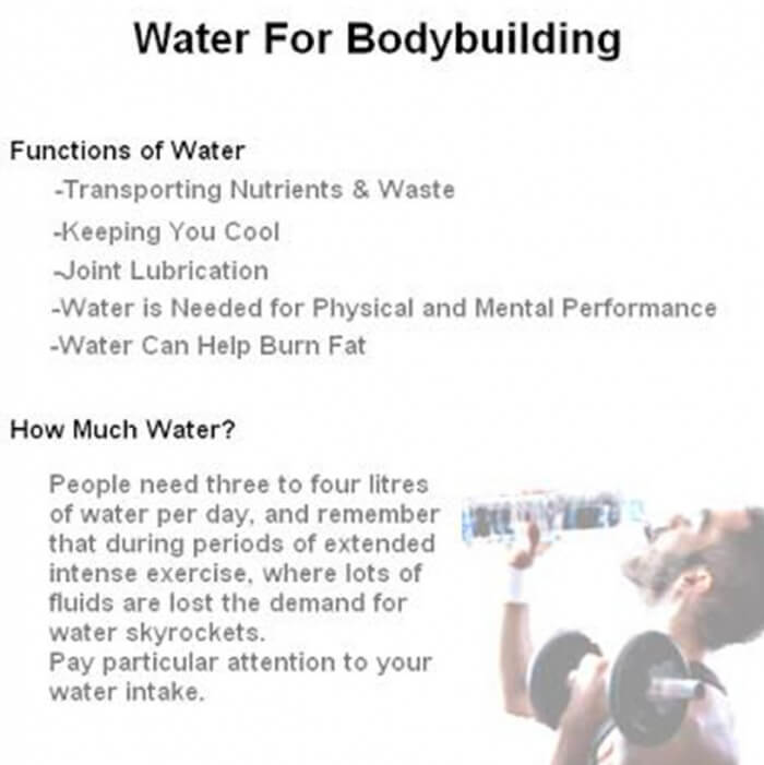 Water For Bodybuilding - Healthy Fitness Function How Much Need?