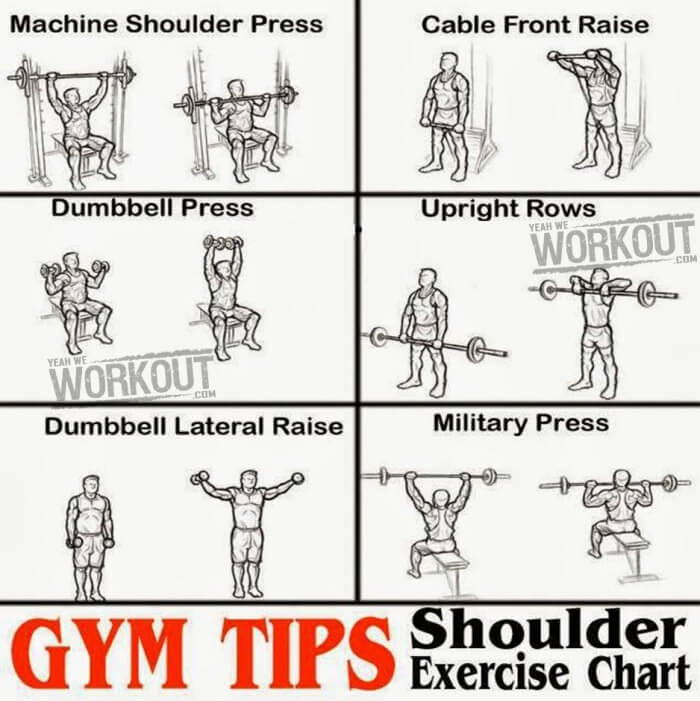 Shoulder Exercise Chart - Gym Tips Health Fitness Training Plan