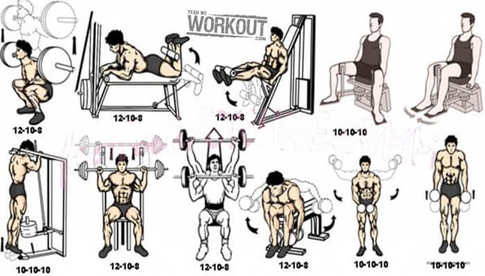 Leg And Shoulders Training Plan - Health Fitness Workout Routine