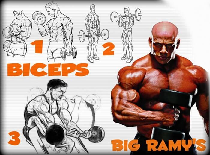Big Ramys Biceps Training - Healthy Fitness Routine Arms Workout