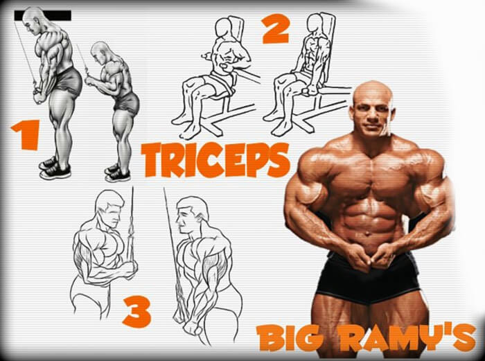 Big Ramys Triceps Training - Healthy Fitness Routine Arm Workout