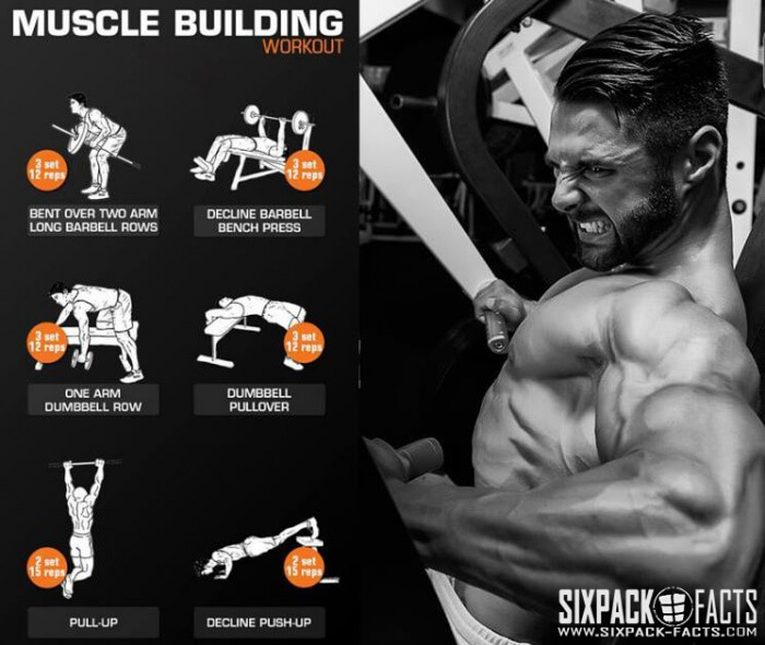 Muscle Building Workout - Healthy Fitness Training Plan Stronger