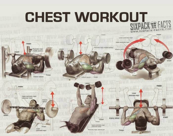 THE BEST CHEST WORKOUT PLAN - Healthy Fitness Training Routine