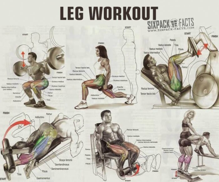 THE BEST LEG WORKOUT PLAN - Healthy Fitness Training Routine Abs