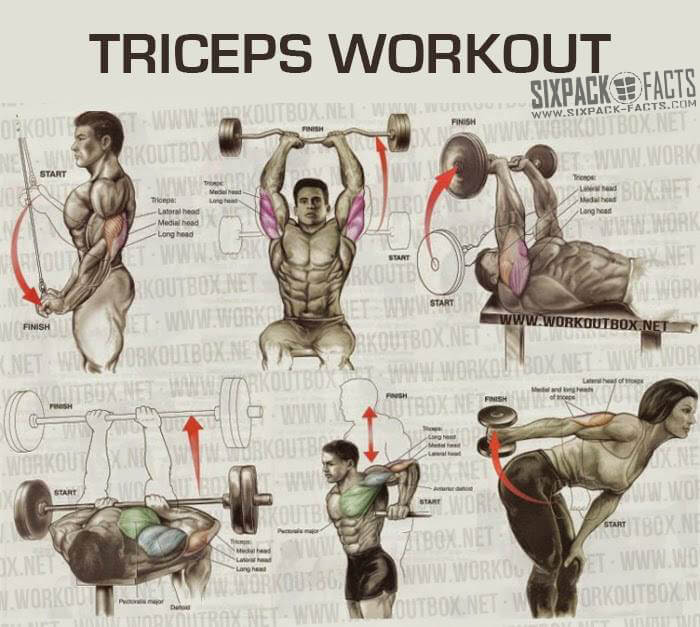 THE BEST TRICEPS WORKOUT PLAN - Healthy Fitness Training Routine