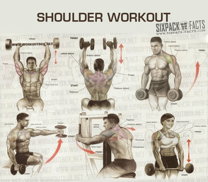 THE BEST SHOULDER WORKOUT PLAN - Health Fitness Training Routine