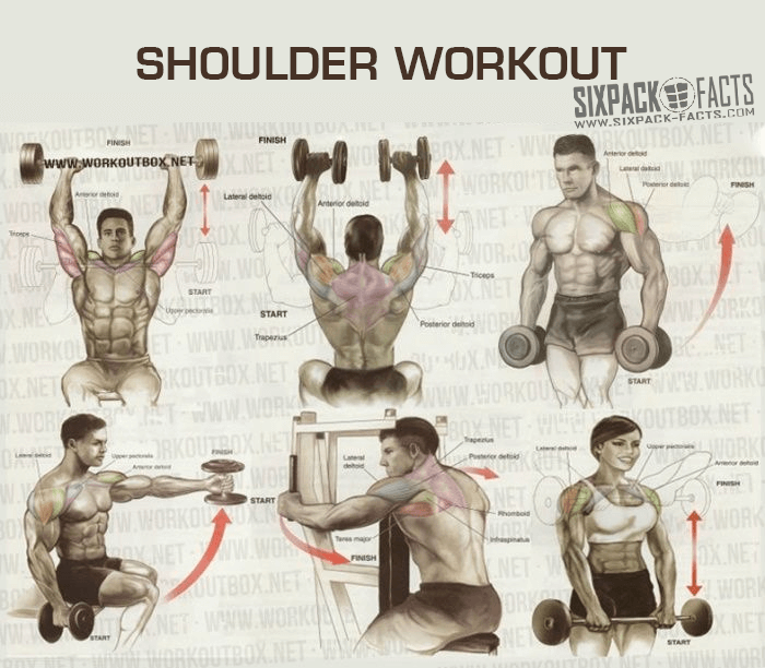 shoulder exercises chart