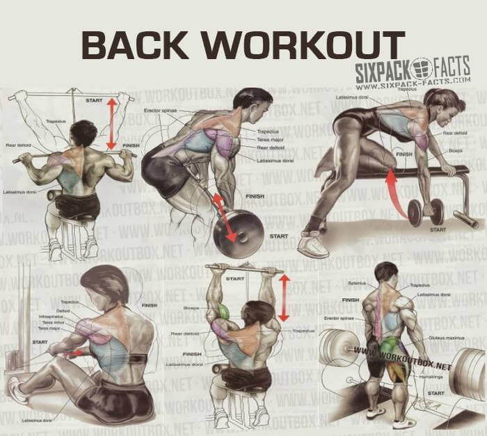THE BEST BACK WORKOUT PLAN - Healthy Fitness Training Routine Ab