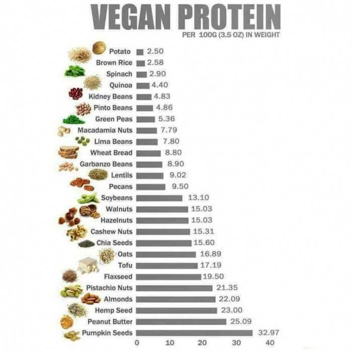 Vegan Protein - Healthy Fitness Food per 100g in Weight Seeds Ab