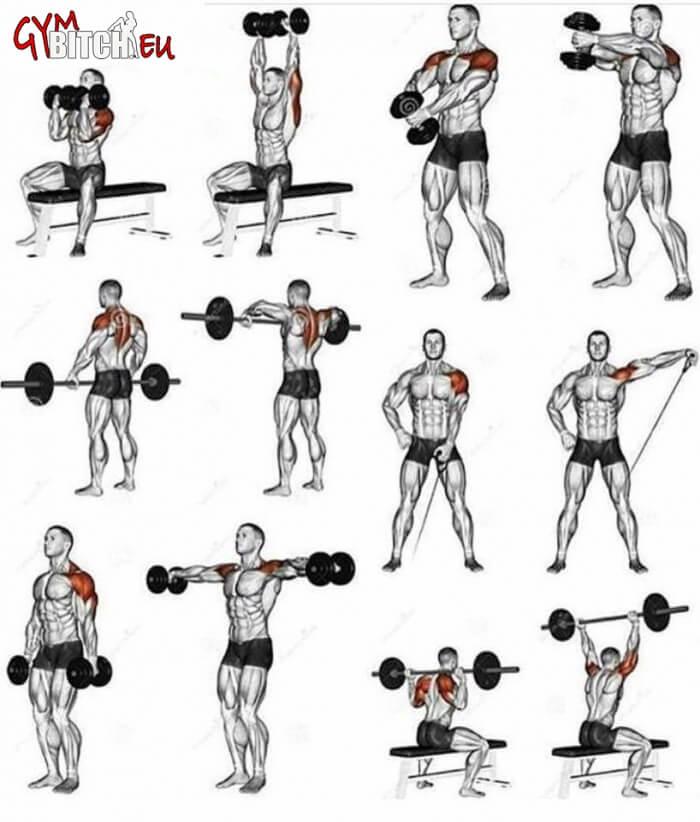 Best Shoulder Fitness Workouts & Exercises - Healthy Body Train