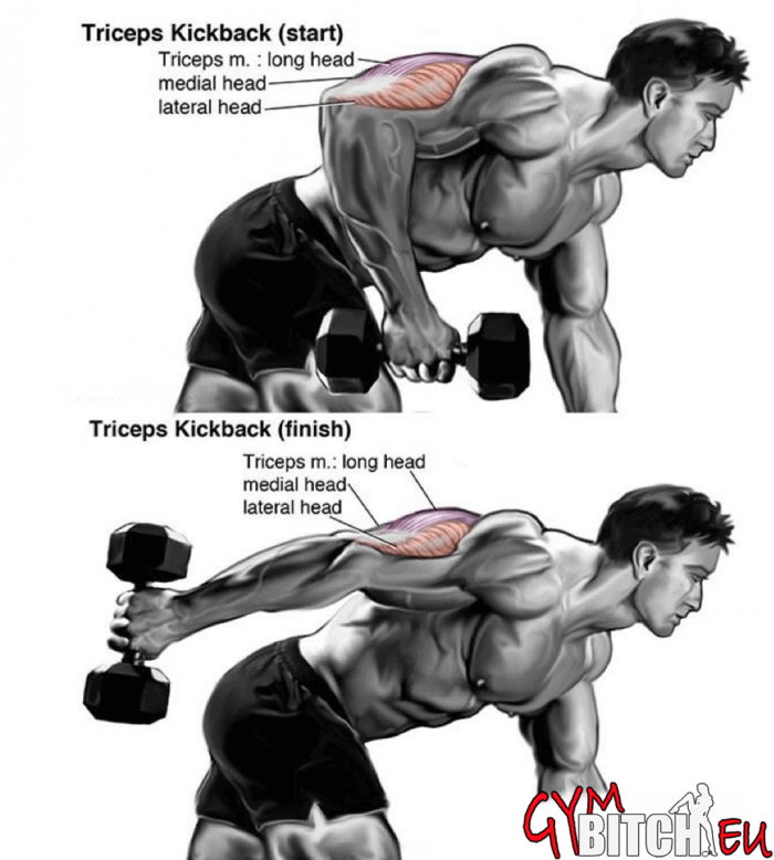Kickback Triceps Exercises Healthy Fitness Workouts Body Train