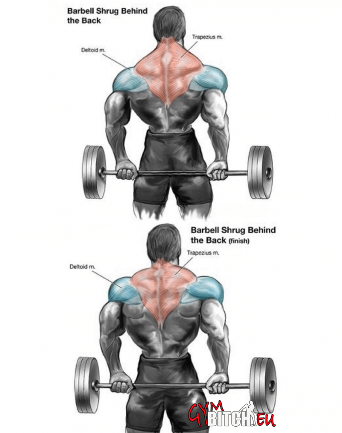 Trapezius Exercises Healthy Fitness Workouts Body Train Trap 