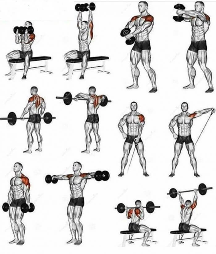 Shoulder Workouts !! Healthy Fitness Training Plan For Stronger