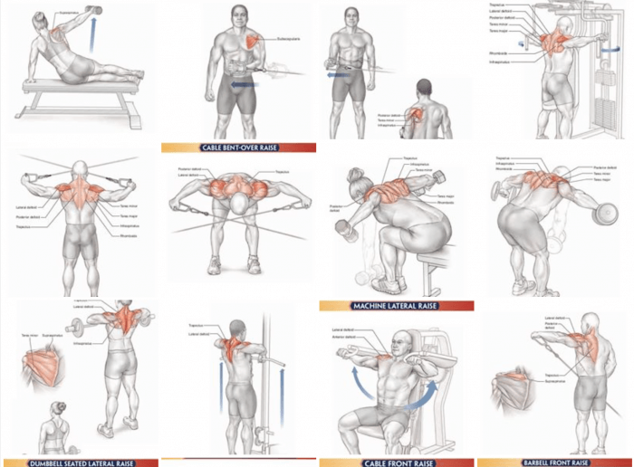 Back, Lat, Shoulder Training Exercises ! Healthy Fitness Workout