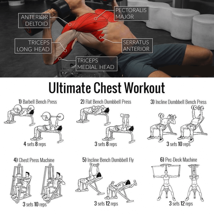 Ultimate Chest Workout - Healthy Fit Tips Best Training Plan Abs