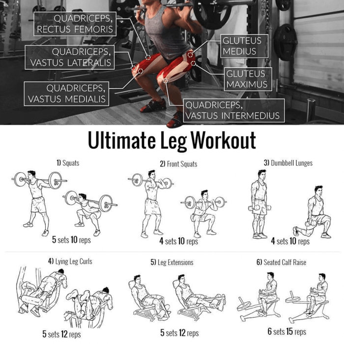 Ultimate Leg Workout. For Stronger Legs Try This Exercises Now