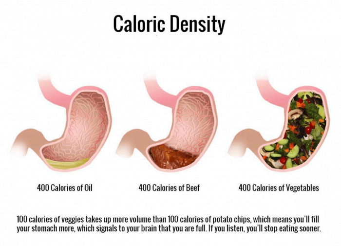 Caloric Density. Don't Eat Less, Eat RIGHT! Healthy Fitness Tips