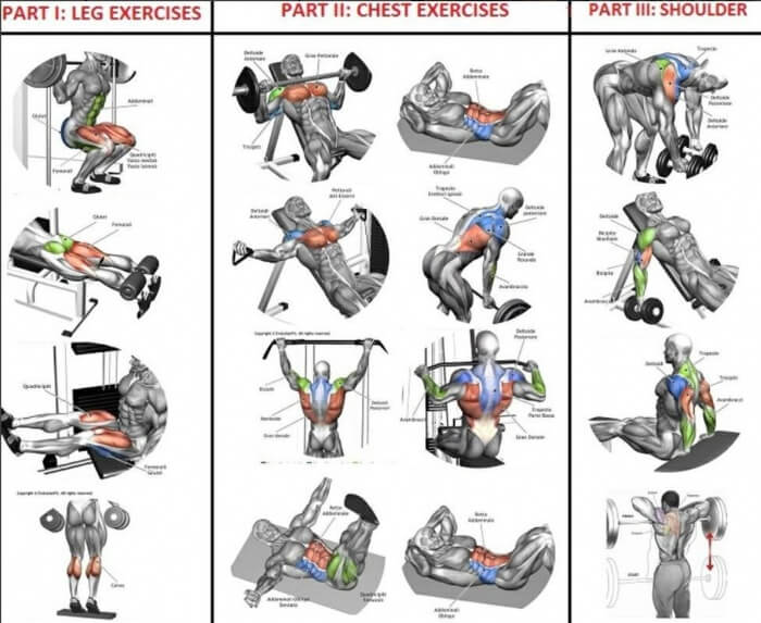 Legs Chest Shoulders Training Plan Healthy Fitness Workout