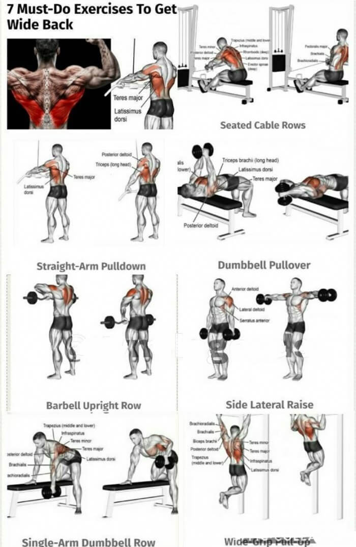 7 Must Do Exercises To Get Wide Back