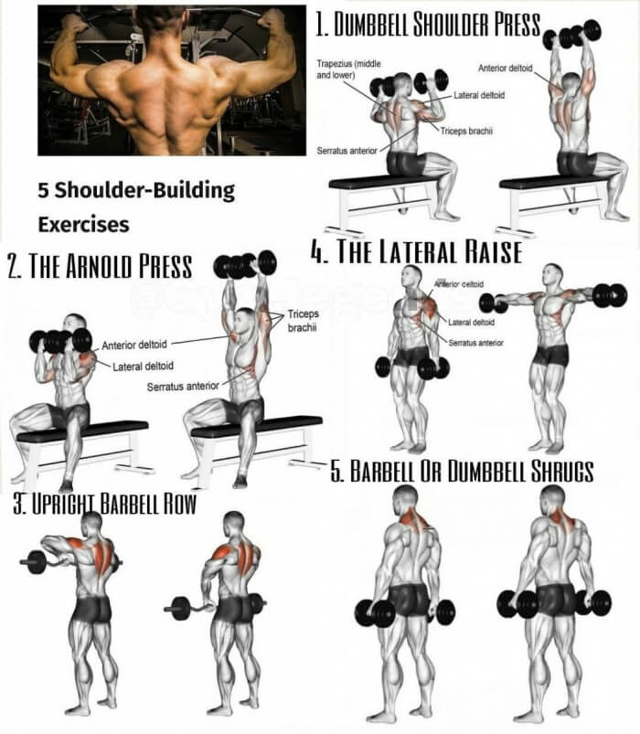 5 Shoulder Building Exercises