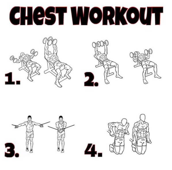 Chest Workout ! Healthy Fitness Training Plan