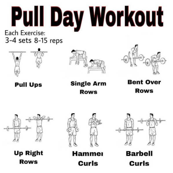 Pull Day Workout ! Healthy Fitness Training Plan