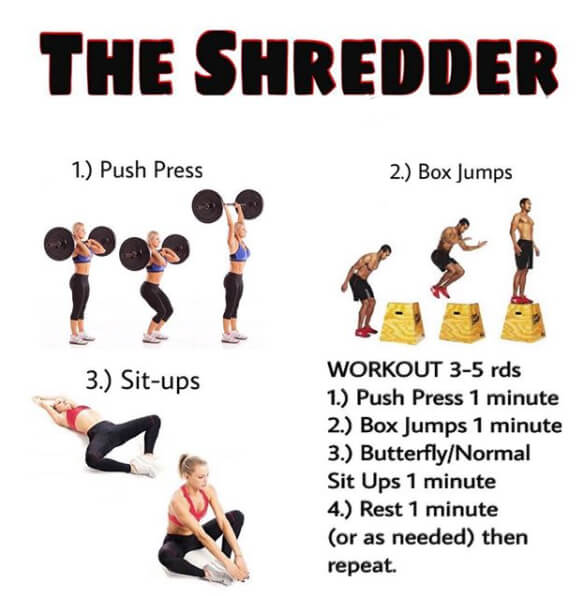 The Shredder Workout ! Healthy Fitness Training Plan
