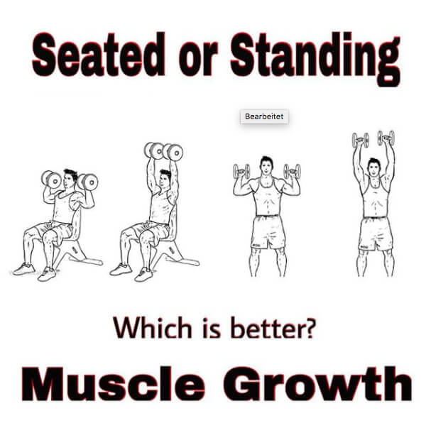 Seated or Standing Workout ! Healthy Fitness Training Plan