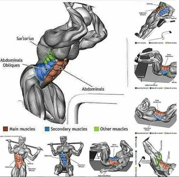 Best Sixpack Training Plan ! Healthy Workouts Abs