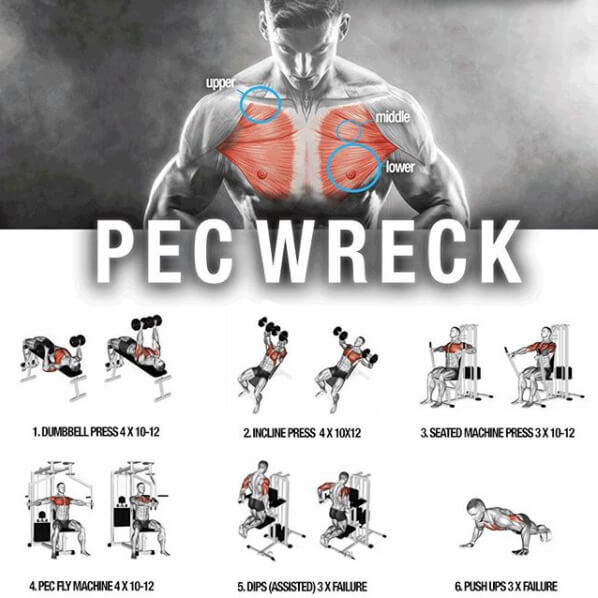 Pec Wreck Chest Training ! Healthy Workouts Abs