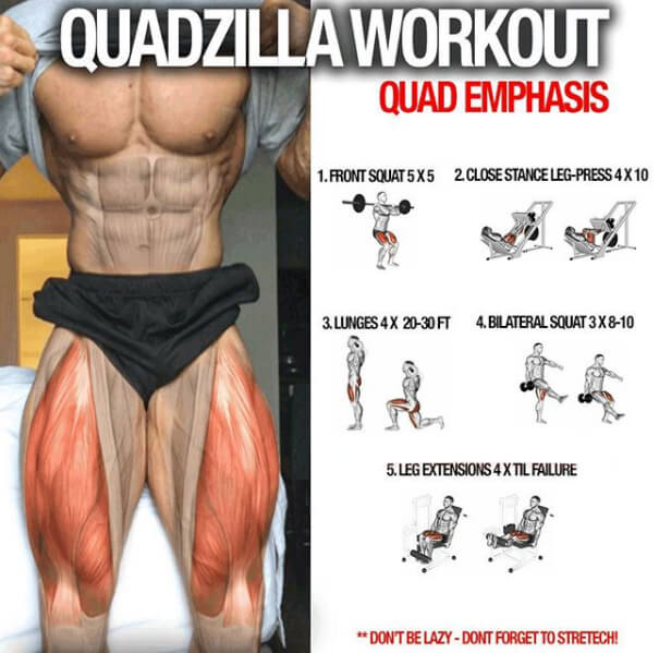 Quadzilla Quad Emphasis Training ! Healthy Workouts Legs