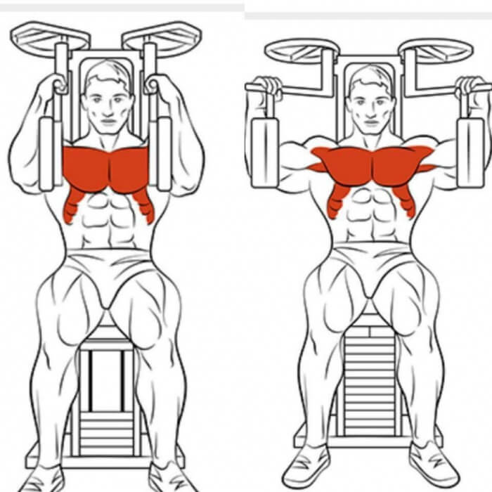 Butterfly Machine! Chest Workout