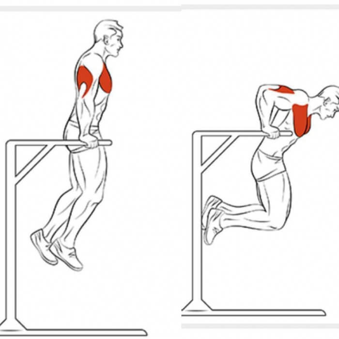 Dips! Chest and Triceps Workout