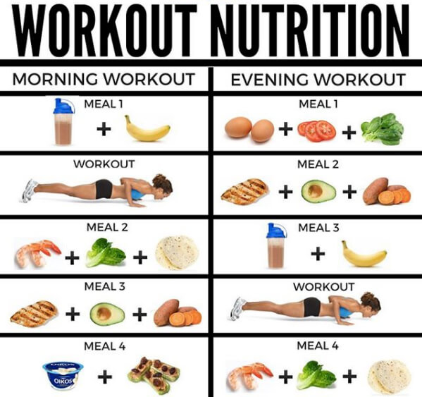 Best Workout Nutrition! Moring vs Evening Workout