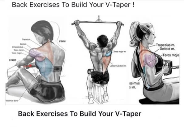 Back Exercises To Build Your V-Taper!
