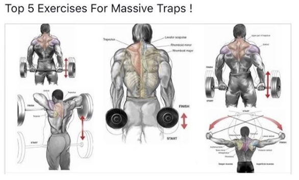 Top 5 Exercises For Massive Traps