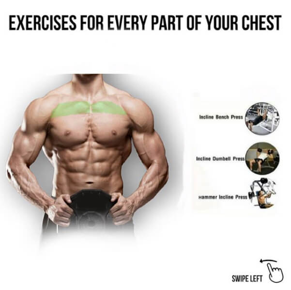 Exercises For Every Part Of Your Chest! Part 2