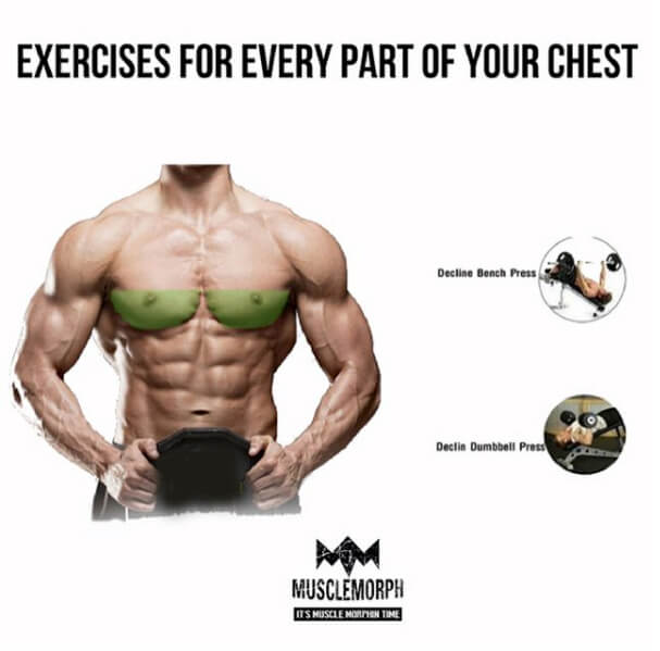 Exercises For Every Part Of Your Chest! Part 5