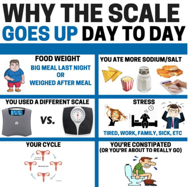Why The Scale Goes Up Day To Day! Healthy Fitness Tips Workouts