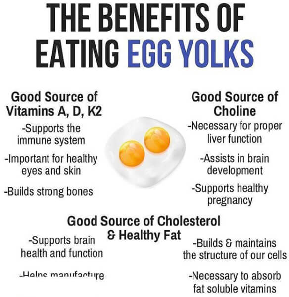 The Benefits Of Eating Egg Yolks! Healthy Fit Eat Tips 